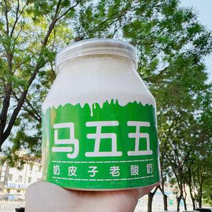 新疆包邮马五五奶皮子酸奶内蒙经典老式酸奶奶皮酸奶乌日么 么酸