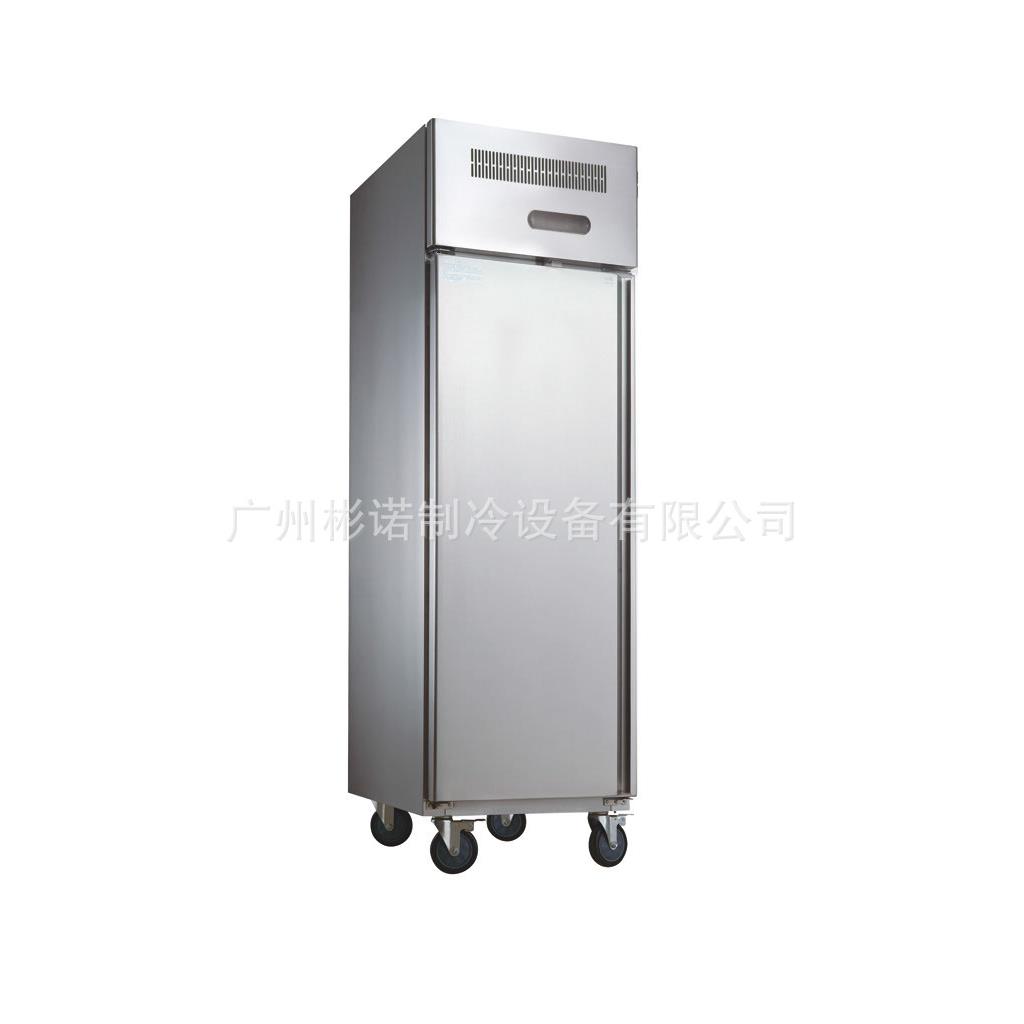 HF-.5L1厂家直销厨房冰箱冷柜豪华保鲜立式厨房冷柜冷冻冷藏柜
