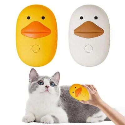 Pet Grooming Tool 3-in-1 Rechargeable Cat Steam Brush for