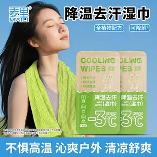 Summer Cooling Ice Towel for Sweat Absorption, Individually