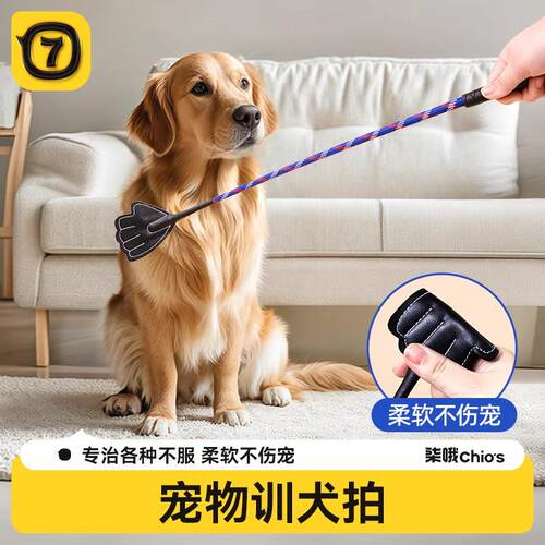 训狗器拍