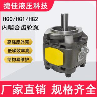 HG内啮合齿轮泵高压耐磨低噪液压油泵电机适配自吸能力强厂家直供