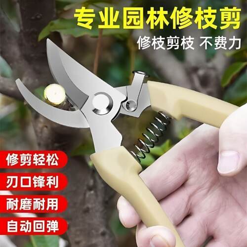 剪树枝剪刀专用花剪园艺园林修枝园丁剪嫁接强力采摘省力修水果树