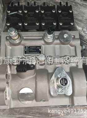 适用莱动电控组合泵 003406024 DH4P 4TD55A-10100-024和D0030003