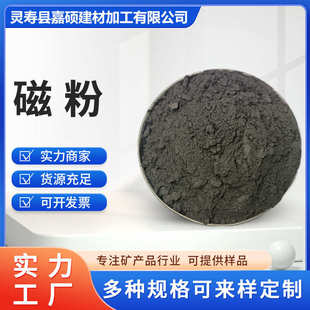 供应超磁分离磁种 磁铁矿粉絮凝沉淀池污水用 磁粉 污水处理铁粉