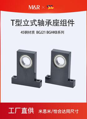 t型轴承带座固定立式轴承座Bgj21 Bghkb 6200 6201 6202 6203 628