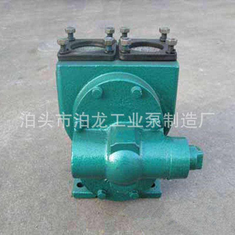 供应 汽车带动齿轮泵 150立方的卸油泵 150YHCB-150尼龙轮柴油泵