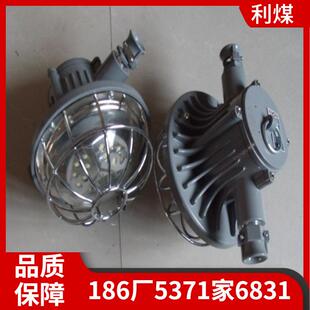 供应DGS24 127L矿用隔爆型LED巷道灯 长形24W圆形照明灯 方形