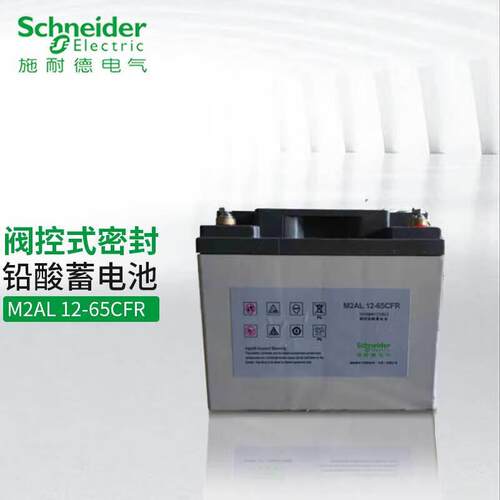 施耐电池UPS电源铅酸免维护蓄电池12V65AH M2AL12-65CFUPS电源