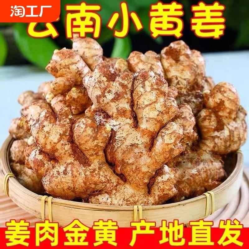 云南小黄姜老姜生姜新鲜黄姜土姜子姜嫩姜鲜姜嫩姜芽10斤包邮种植