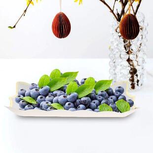 4 Pcs Party Platter Paper Lace Cake Pan Set Plates Serving