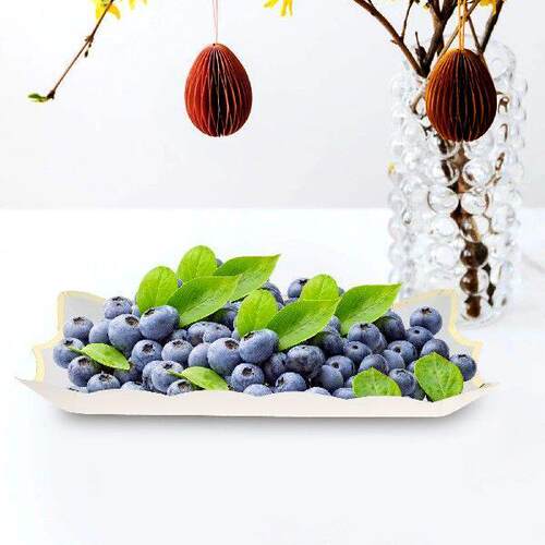 4 Pcs Party Platter Paper Lace Cake Pan Set Plates Serving