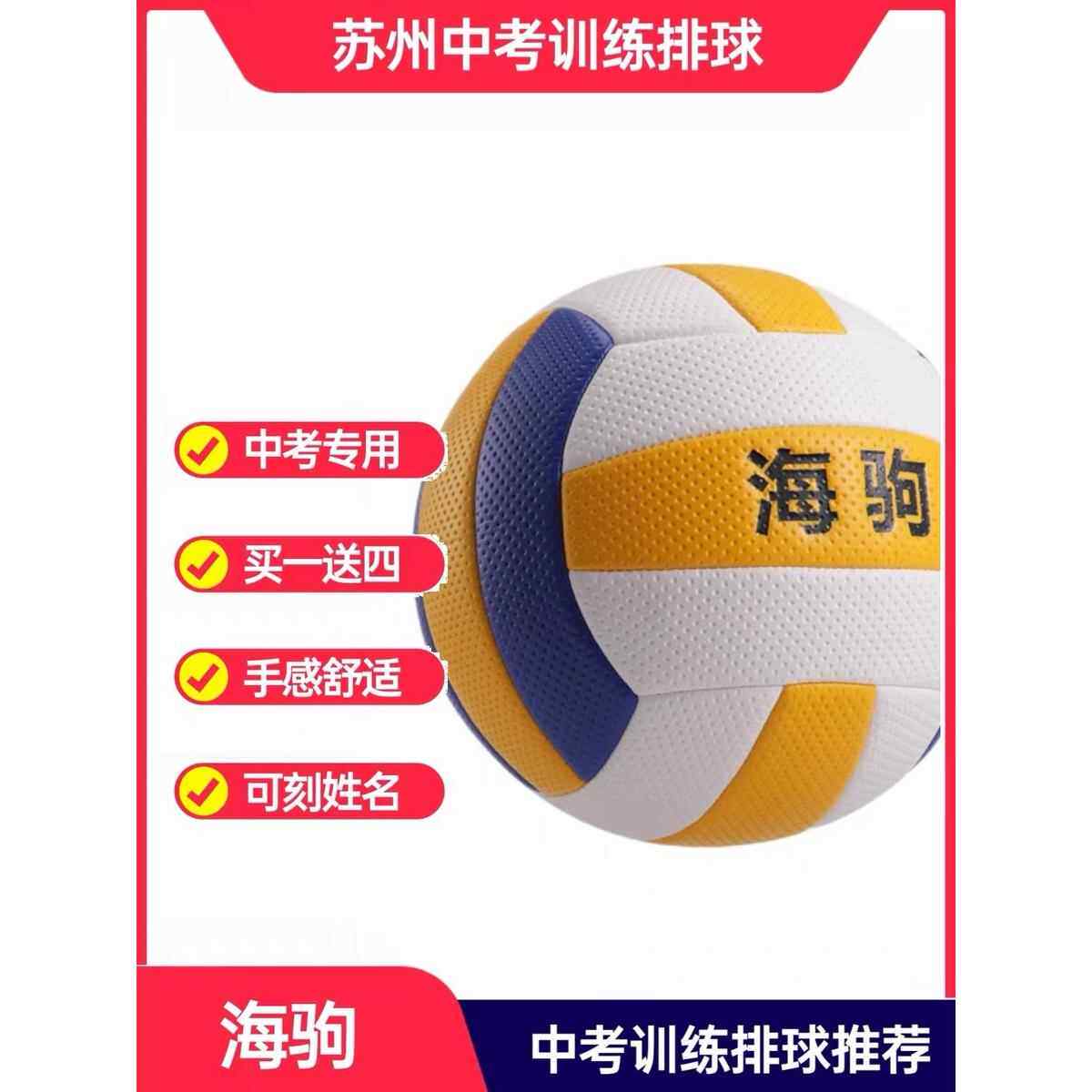 可刻姓名苏州海驹牌针纹5号 海驹1110A针纹气排球中学中考教学软