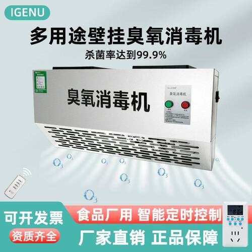 壁挂式臭氧发生器垃圾房除臭空气净化食品厂车间养殖场臭氧消毒机