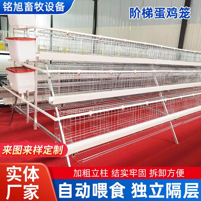 镀锌三层四门阶梯式蛋鸡笼畜牧大密度养殖提高产蛋量镀锌养鸡笼