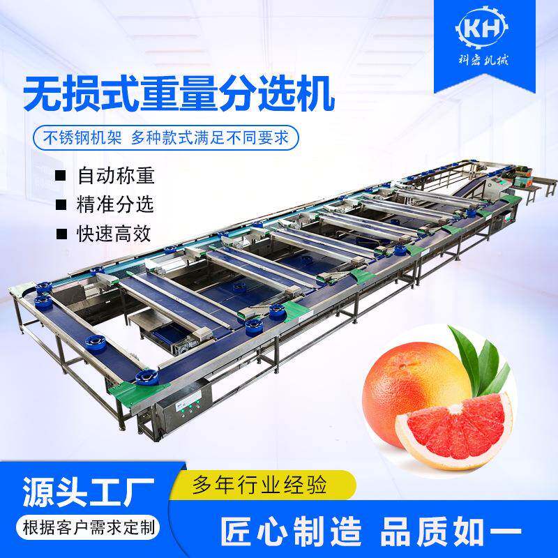 无损式重量分选机水蜜桃葡萄柚智能分选重量分拣