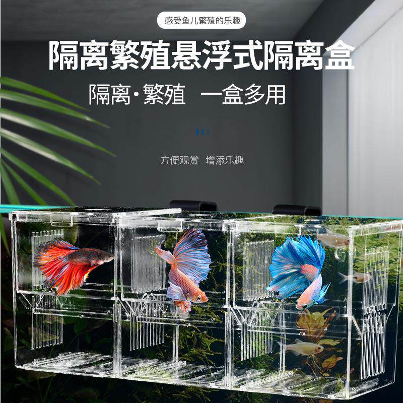 鱼缸孵化隔离盒抽板式透明饲养盒水族缸内孵化盒斗鱼盒挂钩子母盒