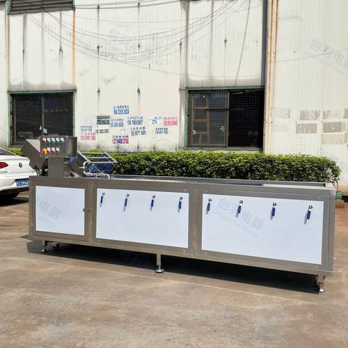 食堂蔬菜清洗机 中央厨房果蔬臭氧高压气泡式蓝莓杀菌臭氧清洗机