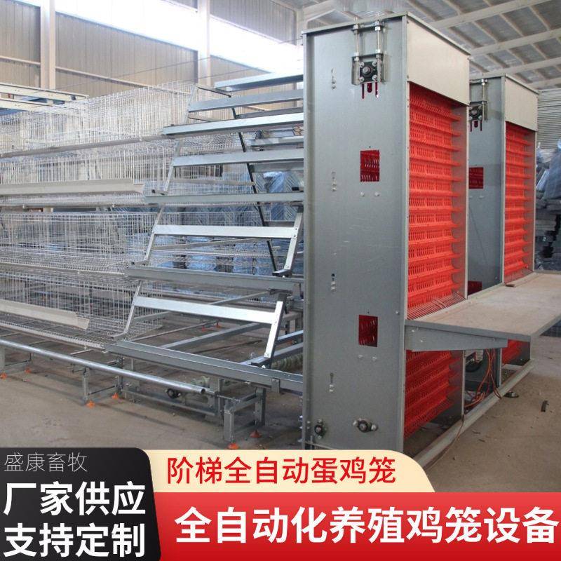 阶梯式蛋鸡笼三层五门白槽鸡舍养鸡蛋鸡笼全自动化集蛋养殖蛋鸡笼