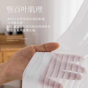 网红竖百叶纱窗帘垂直条纹梦幻帘窗帘白纱纱帘透光不透人白色窗纱
