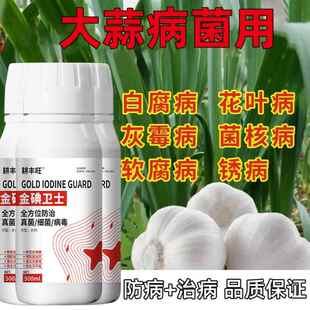 大蒜病专用药大蒜杀菌剂干尖黄尖叶斑病根腐大蒜病全治锈病专用药