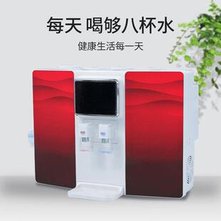 挂除水垢R反渗透直饮纯水壁机 一冰热体O机净水器家用62420138台式