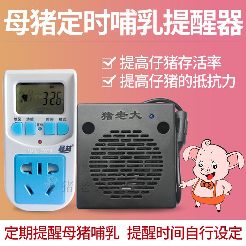 母猪定时哺乳提醒器母猪哺乳发声器母猪产后规律性哺乳定时哺乳