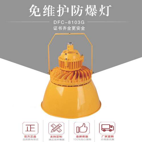 广照型带灯罩隔爆灯50W60W80W100W120W150W200W支架吸顶式吊杆式