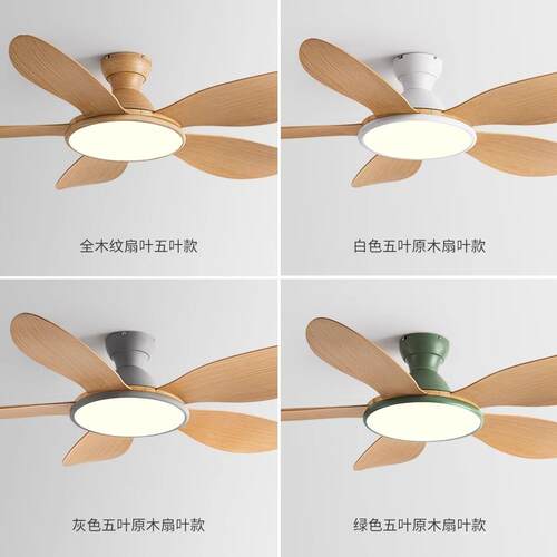 新款直销HJ2025餐厅风扇吊灯卧室变频吊扇灯客厅家用吸顶风扇灯LE