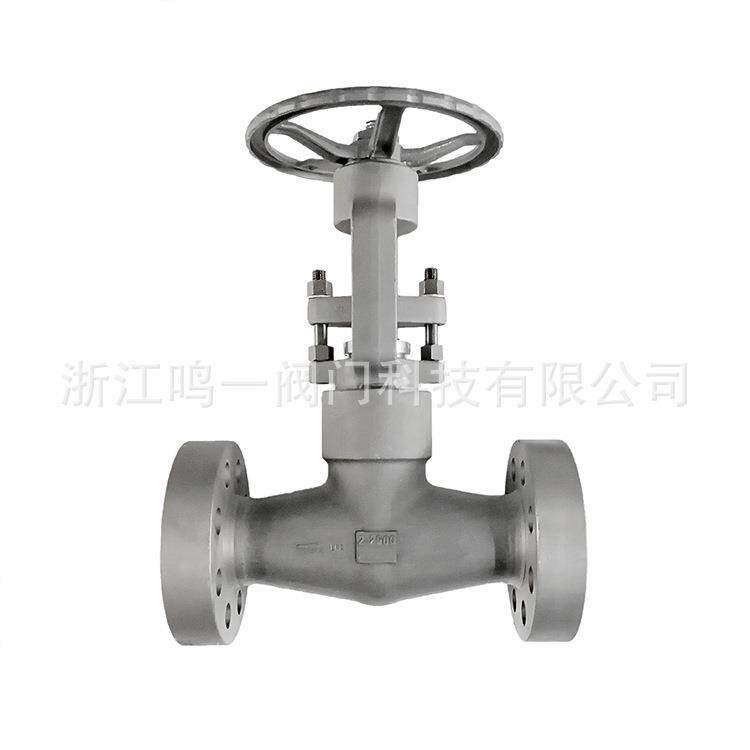 锻钢整体锻造2500LB高压力自密封自紧式法兰闸阀截止节流阀PZ41Y