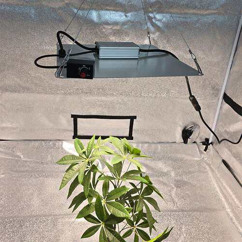 100W量子板led植物生长灯室内全光谱多肉兰草盆栽绿植150W补光灯