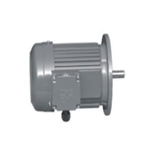 晟邦电机 CPG电机 CH-3-400-30S晟邦工业（苏州）有限公司