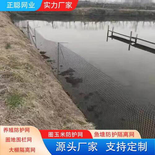 养鸡耐塑UDD料围栏土工格抗栅鱼塘膜防护网大棚托圈地养殖围栏网