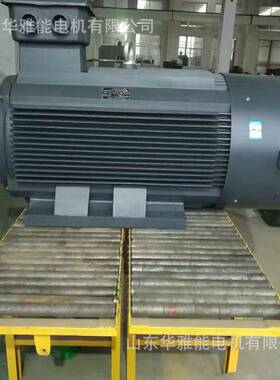 YGM-355M1-8-132电机IP44防护等级YEJ电机止口须连续不断开特制轴