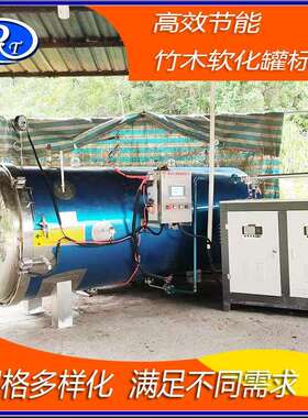 节能效高木材软化防罐材炭化罐增强木稳定性防腐裂木材RTA-1200蒸