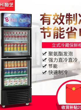 冰柜商用饮料柜门冷藏柜立式家用冷柜保鲜柜玻璃门冰箱展示柜