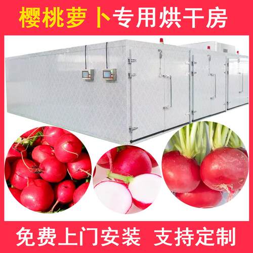 空气能樱桃萝卜烘干机全自动水果萝卜烘干房小萝卜脱水烘干设备