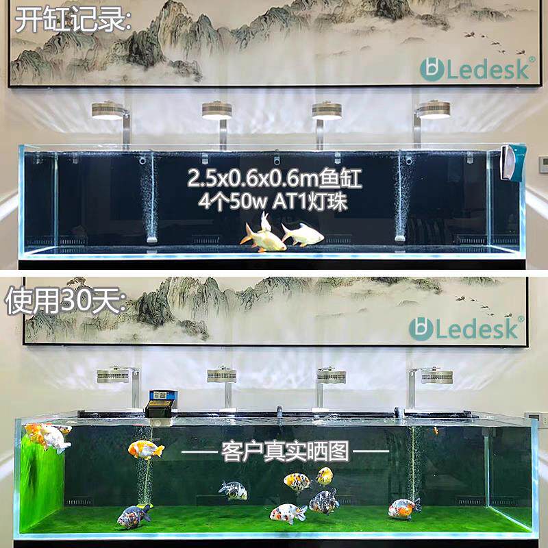 乐地Led原生态水灯、爆藻金鱼苔灯、三湖全光谱鱼缸灯、免费支架