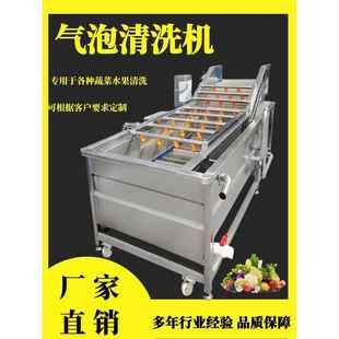 全自动果蔬气泡清洗机高压大枣清洗机白菜中药材清洗流水线厂家