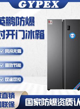 英鹏防爆冰箱低温药剂保存柜冷藏冷冻冰柜工业厂房对开门保鲜柜