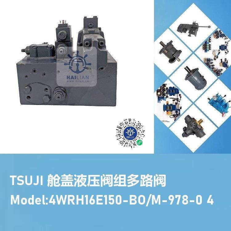 DB6VP2-3*/100安全阀溢流阀Dwg.NO.203466-TSUJI CRANE PART LIST