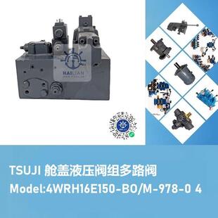 4WE6Y-6*MO/AW110NZ5L液压电磁阀-TSUJI起重机备件