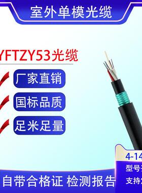 GYFTZY53非金属铠装阻燃光缆GYFTY53单模4/8/12/24/48/96芯光纤线
