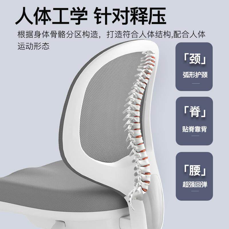 电脑椅久坐不累家用学习专用椅小户型人体工学椅子舒适靠背办公椅