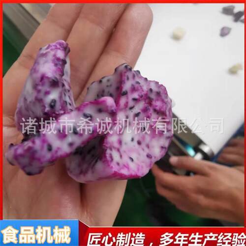 冻干草莓巧克力涂层机黄桃干裹涂巧克力机器鲜葡萄裹涂巧克力