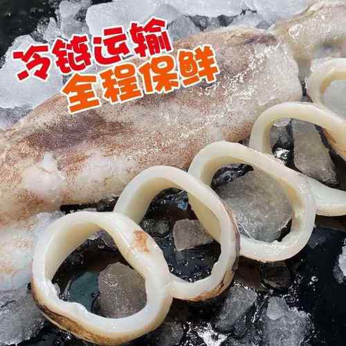ly鲜货【鱿鱼圈4斤】鱿鱼新鲜鱿鱼须章鱼足八爪目鱼花烧烤火锅