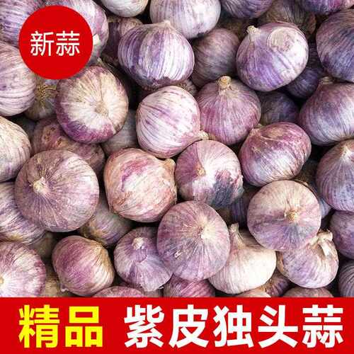 大理紫皮独头蒜鲜蒜农家新大蒜当季新蒜红皮蒜大蒜头干独蒜