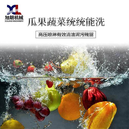 全KUH自动毛清洗机大型脐水土豆果蔬橙菜毛辊果蔬清洗刷机厂家