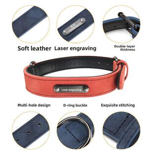 collar puppy medium dog 宠物项圈狗圈 collars tag pet cat