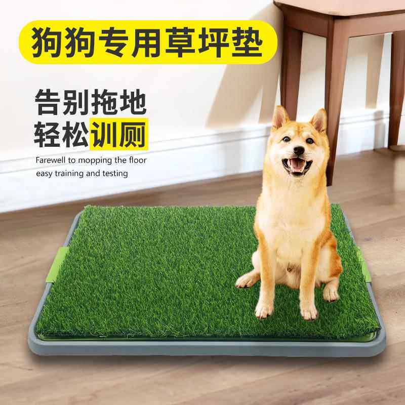 宠物狗狗厕所中型大型小型犬人造草坪排便清理防踩屎便盆尿盆专用
